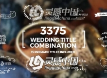 3375种优雅漂亮小清新婚礼文字标题动画包AE模板