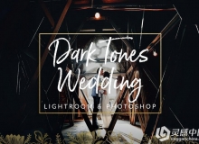 暗色调婚礼Lightroom预设/ACR预设 Dark Film Tones Wedding Presets