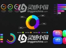 扁平化饼状图柱状图数据统计信息图表动画AE模板