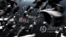成千上万密集恐怖蝙蝠快速飞过揭示标志LOGO片头动画AE模板AE工程文件 Scary Bats Logo