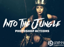 冒险和复古风格PS动作 INTO THE JUNGLE PHOTOSHOP ACTIONS