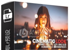 10组电影色调Lightroom预设 10 Cinematic Look Lightroom Presets