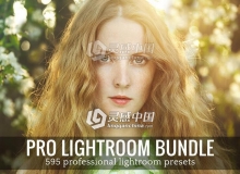 专业Lightroom预设合集 Pro Lightroom Presets Bundle