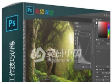 Photoshop CC高效工作技巧训练视频教程