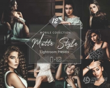 12个深色哑光人像调色Lightroom预设 12 Mobile Lightroom Presets, Matte Style