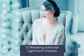 复古电影婚礼Lightroom预设 12 Wedding Editorial Lightroom Presets