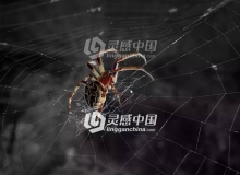 C4D蜘蛛网制作插件 Aescripts SpiderWeb 1.2 For Cinema 4D Win/Mac