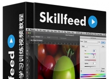 Photoshop全面学习训练视频教程Skillfeed Learn Photoshop In 3 Hours Complete