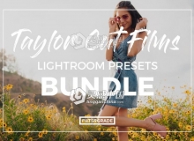 8种独特生活人像电影色调Lightroom预设NEW Taylor Cut Films Lightroom Presets