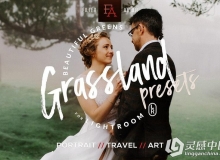 旅行外拍生活婚礼人像Lightroom预设 Grassland Lightroom Presets