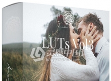 电影胶片质感婚礼微电影MV调色LUT预设 Kreativ Wedding LUTs Vol.3 (Win/Mac)