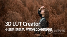 3D LUT Creator小清新,糖果色,写真VSCO电影风格中文调色教程合集