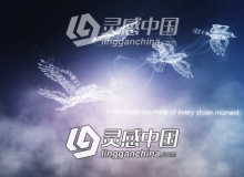 抽象流光飞鸟特效片头动画AE模板 Videohive Concept of Freedom