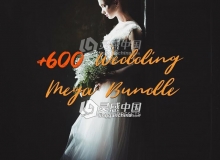 643组专业婚礼婚纱时尚编辑Lightroom预设合集 600+ Wedding Filters Mega Bundle