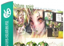 自然女神绘画艺术训练视频教程 Nature Spirit Step by Step Tutorial Pack