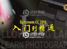 lightroom修图基础入门中文视频教程