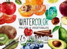 水果蔬菜美食水彩元素动画包装AE模板 Watercolor Fruits And Vegetables