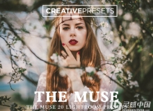 缪斯女神完美肖像Lightroom预设 The Muse 20 Lightroom Presets