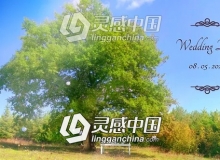 浪漫爱情故事婚礼图片相册照片场景展示AE模板