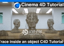 C4D对象内部跟踪线条充满物体视频教程 Trace inside an object Cinema 4D Tutorial