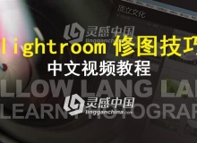 lightroom修图技巧中文视频教程