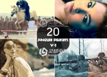 20组旅行风景Lightroom预设 20 Free Junglee Lightroom Presets