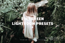 10个清新森系旅拍风光人像lr预设10 EVERGREEN Lightroom Presets