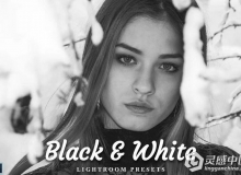 23组黑白Lightroom预设 23 Black & White Lightroom Presets