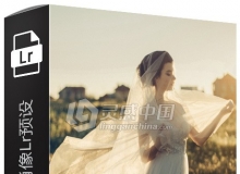 专业新娘婚纱肖像Lightroom预设 Brides Pro lightroom Presets