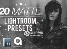 20磨砂Lightroom预设 Matte Premium Lightroom Presets