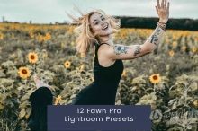 12个外拍明亮胶片人像调色Lightroom预设 12 Fawn Pro Lightroom Presets