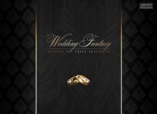 国外商业婚礼幻想调色PS动作套装 Photo Actions Wedding Fantasy