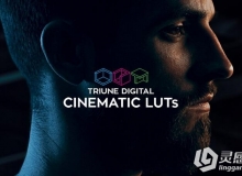 300组LUTs电影大片风格调色预设 Triune Digital: Cinematic LUTs