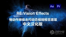 AE/PR中文汉化插件-慢动作降噪去闪动态模糊视觉套装 REVisionFX v22.09 Win版下载