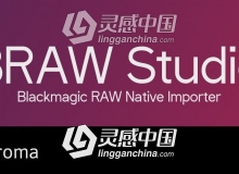 Blackmagic RAW格式视频素材导入软件 BRAW Studio v1.8.0 Win破解版 附视频教程