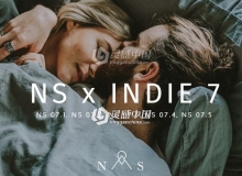 NS x INDIE 7 电影胶片Lightroom预设 NS x Indie 7 // 5 Presets LR