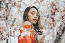 春季柔和哑光情绪人像后期Lightroom预设 Spring Mood Lightroom Presets