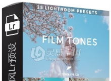 胶片日系清新风Lightroom预设 25 Film Tone I Lightroom Presets