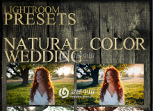 Dmitry Rogozhkin最自然通透婚礼人像Lightroom预设 Natural color wedding