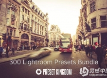 300Lightroom预设合集 300 Lightroom Presets Bundle