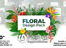 100个绿色花草植物叶子花朵藤蔓视频设计包装AE模板 Videohive Floral Design Pack