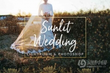 阳光下的婚礼Lightroom预设与Photoshop (xmp)预设 Sunlit Wedding Presets