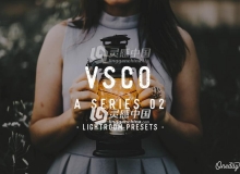 VSCO预设 VSCO A series 02 Lightroom presets