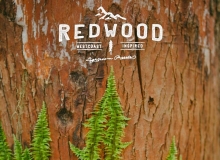 Red Leaf 工作室出品 Film Redwood Lightroom Presets 电影感胶片色调调色Lr预设