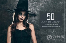 万圣节电影气氛LUT预设及Lightroom预设 50 Atmospheric Halloween LUTs and Presets