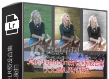 300个Lightroom莱卡LR预设合集 人文.婚礼.风光.街拍 Over 300 New Lightroom Presets