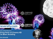 第四季Cinema 4d R19大神运动图形系列视频教程合集Siggraph 2017 Rewind