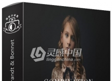 The Portrait Masters伦勃朗与博内的结合绘画肖像布光摄影视频教程