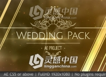 美丽优雅迷人难忘的金色粒子婚礼视频包装AE模板 Wedding Pack