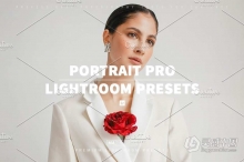 10个专业人像后期调色Lightroom预设 PORTRAIT PRO Lightroom Presets